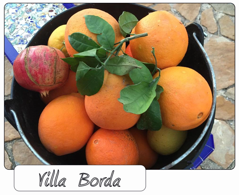 Villa Borda - fotoalbum/huis/14.webp